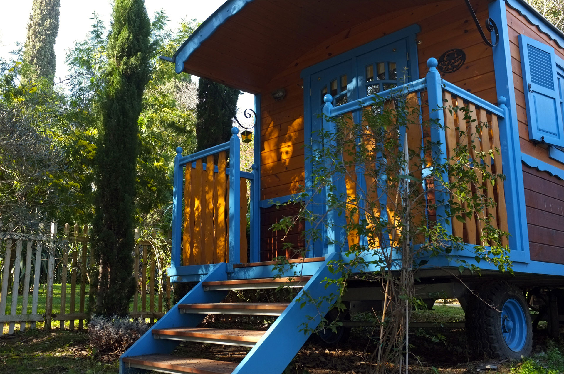 Arbres centenaires et senteurs provençales